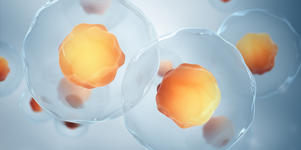 Cell Culture Products